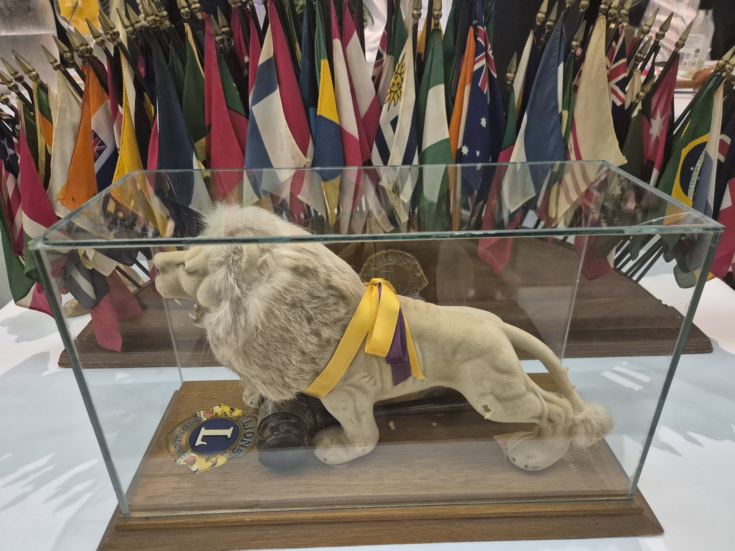Image for Moree Lions Club celebrates 70 years