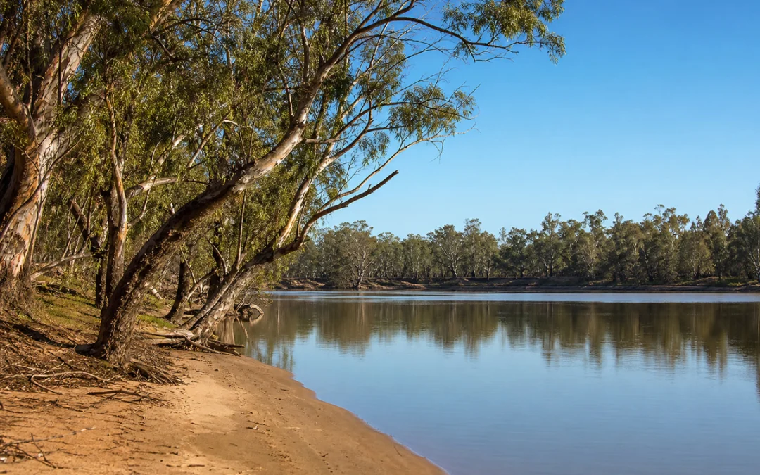 Aboriginal River Connection Stories – Moree Organic River Modelling Workshop