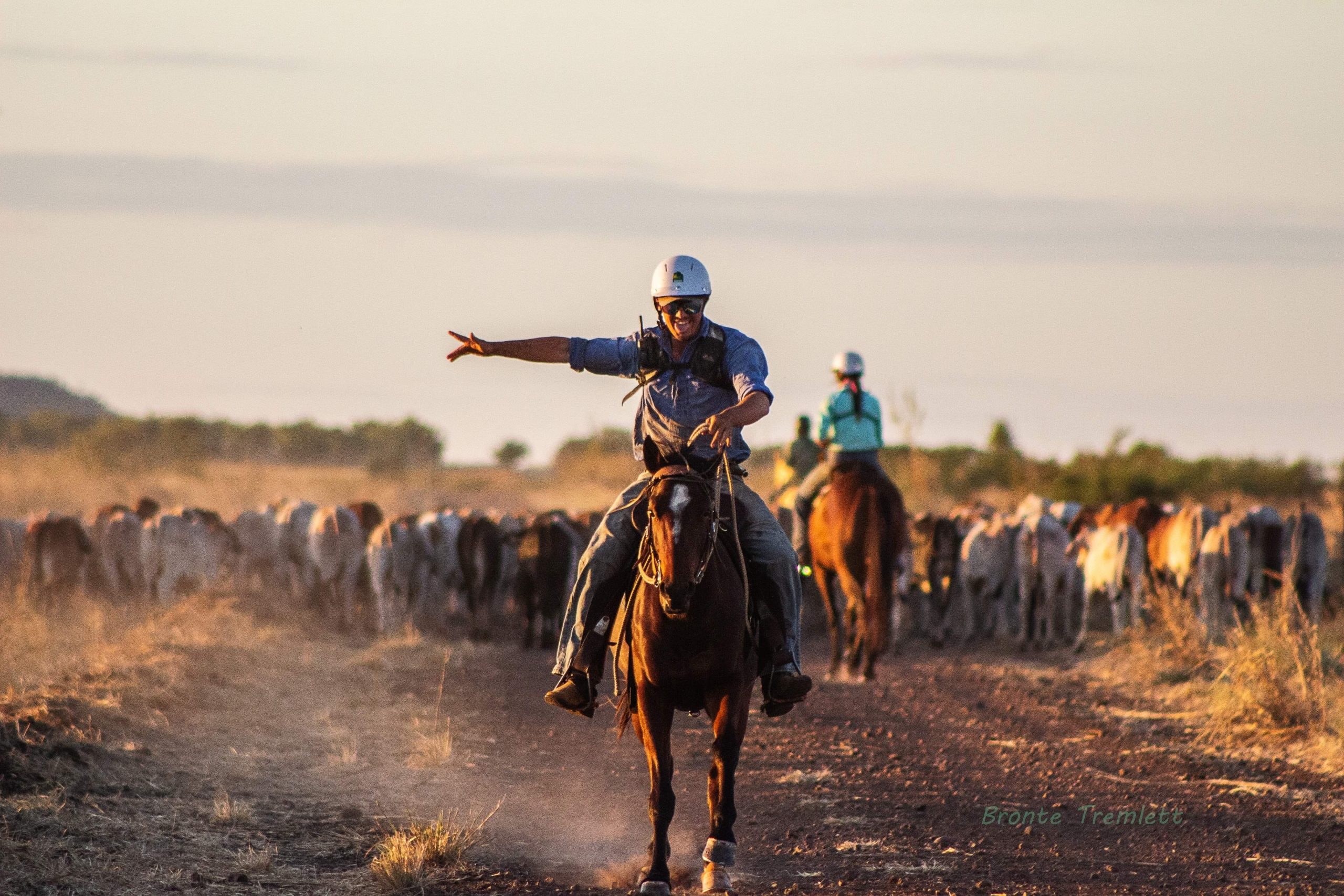 Image for Ag Day Australia photo comp captures the spirit of agriculture