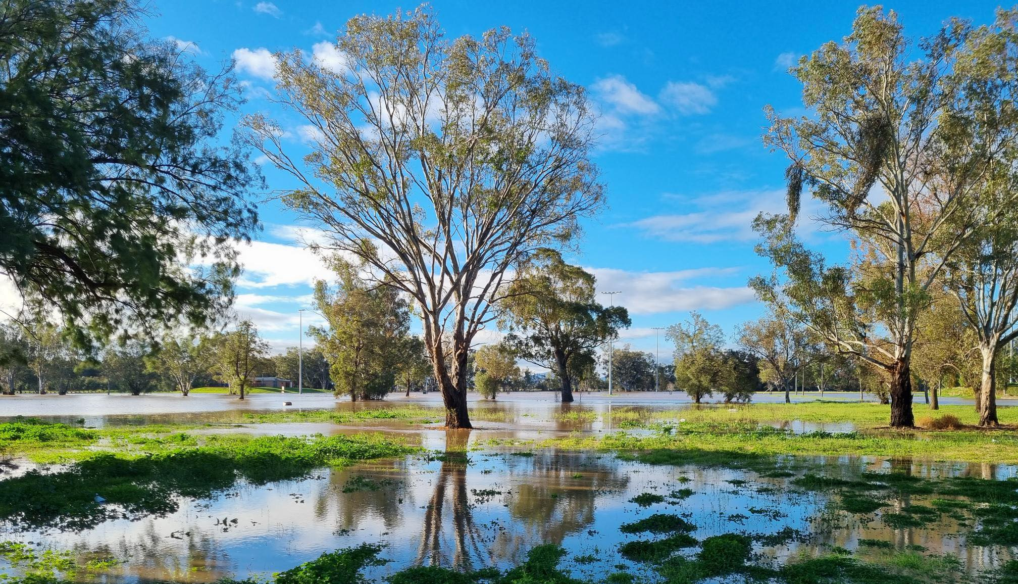 Bloomfield Oval at Gunnedah (Image: Gunnedah Shire Council).