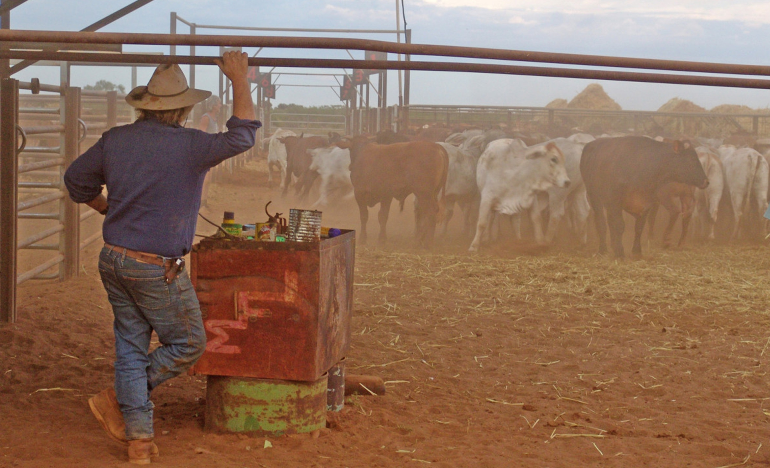 CattleFarmer004