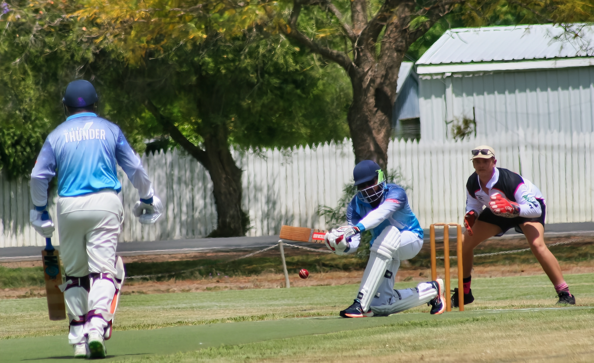 Cricket011