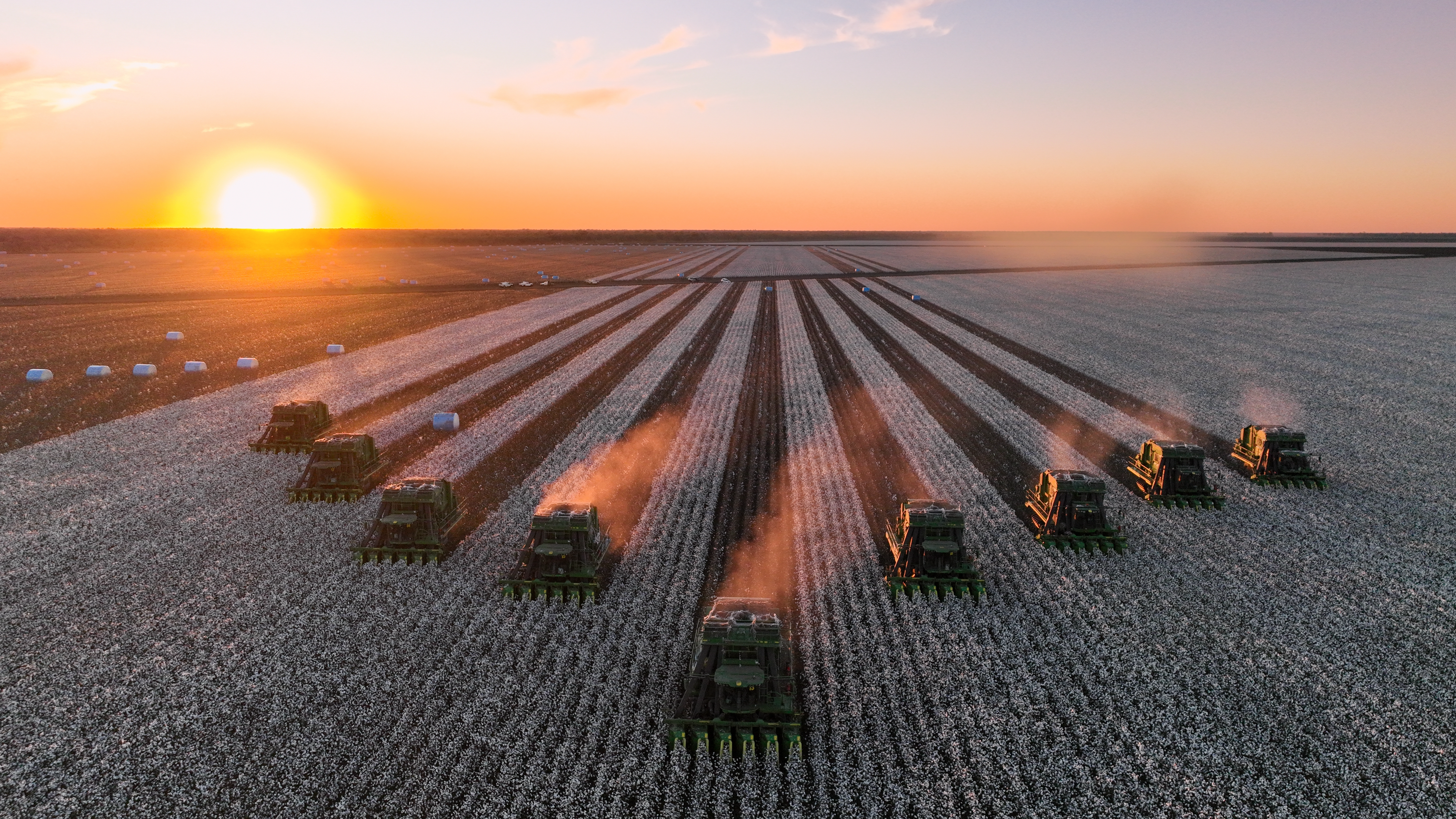 Image for Ag Day Australia photo comp captures the spirit of agriculture
