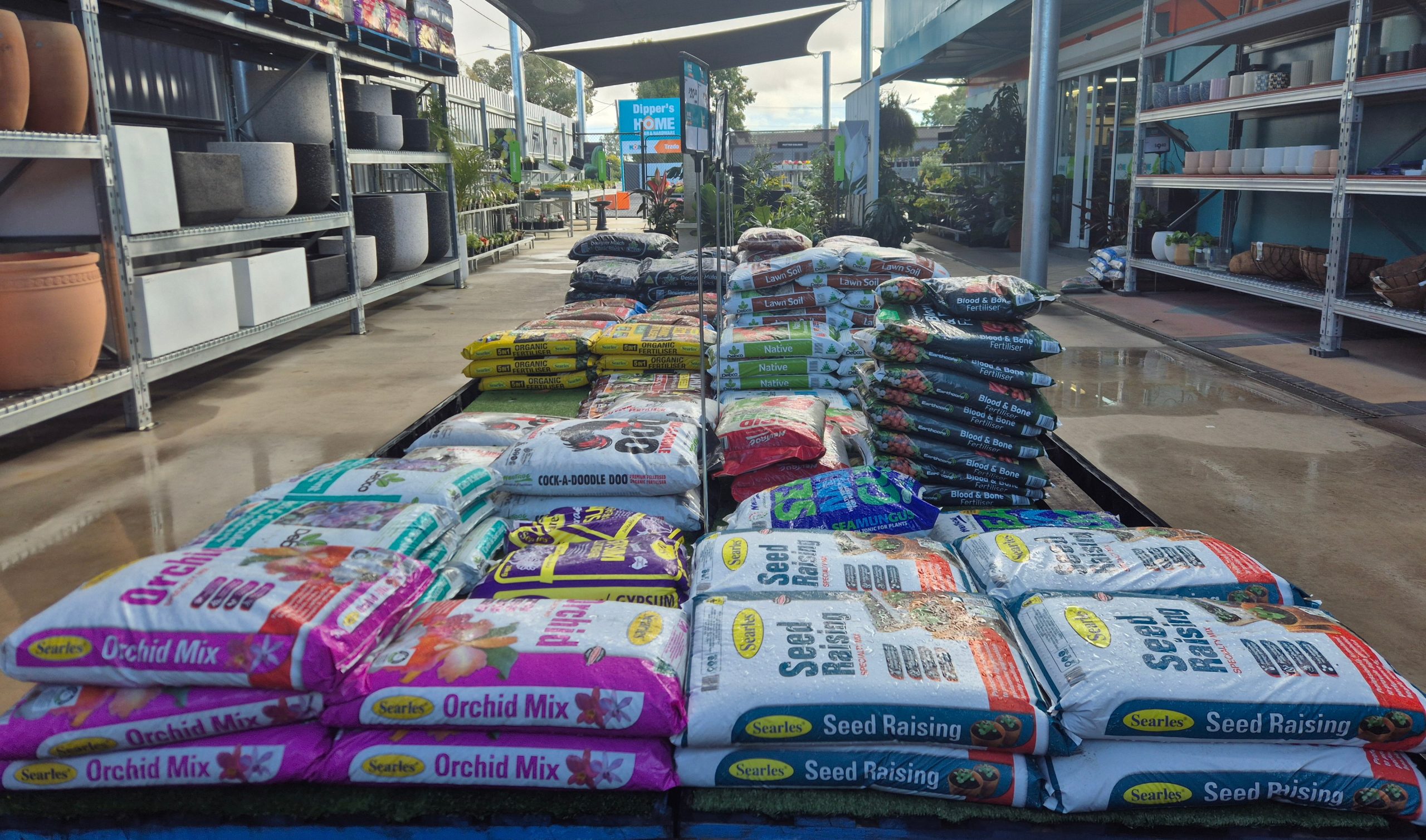 Image for Sasha at Dipper’s Garden Centre in Moree has springtime planting sorted