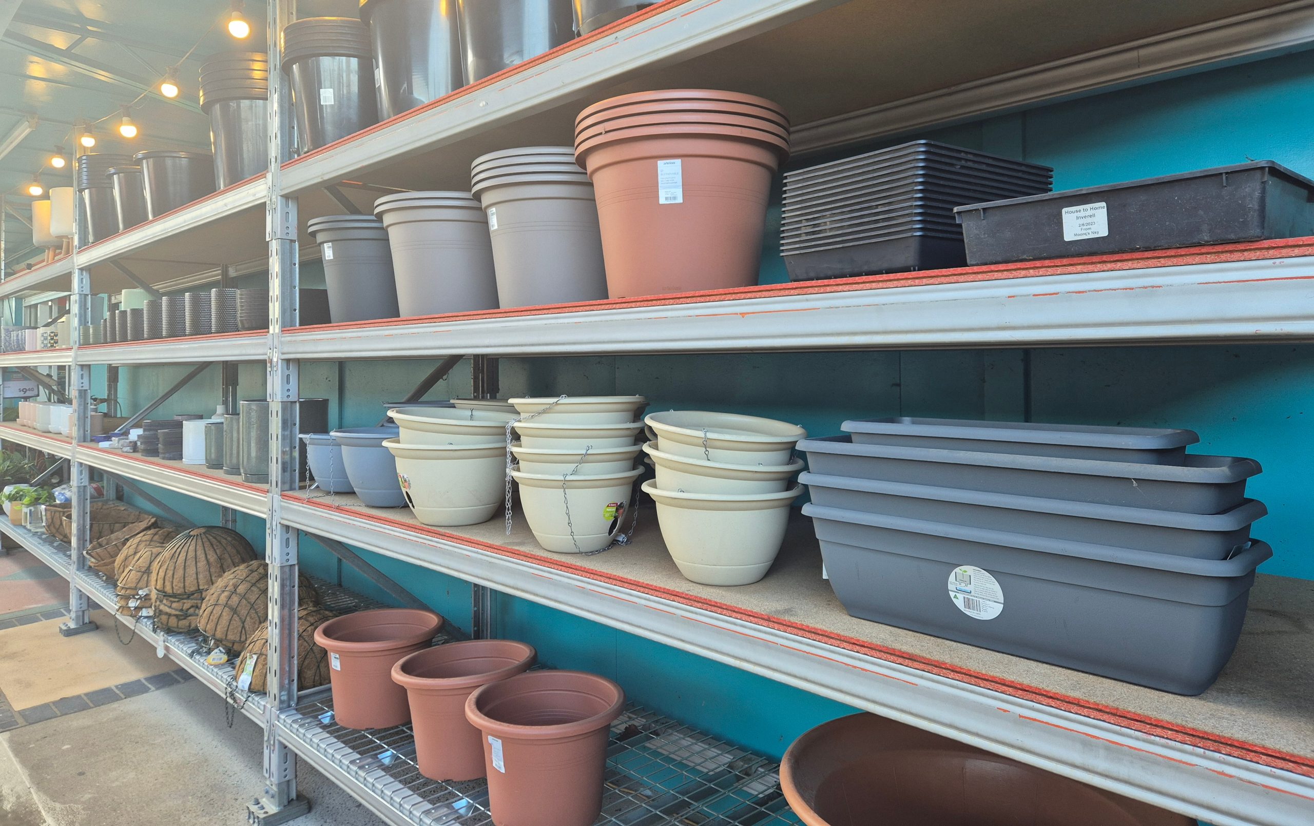 Image for Sasha at Dipper’s Garden Centre in Moree has springtime planting sorted