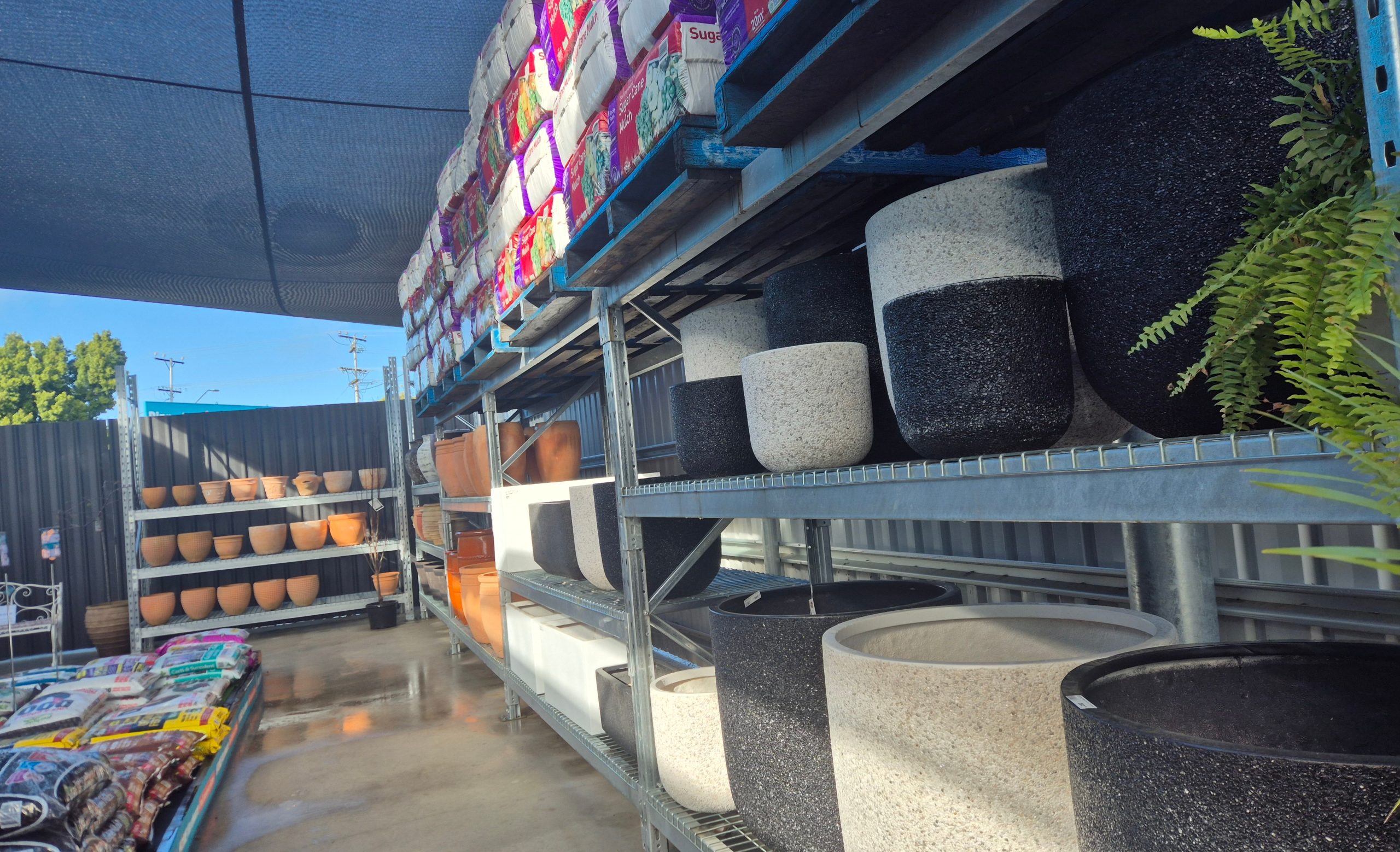 Image for Sasha at Dipper’s Garden Centre in Moree has springtime planting sorted