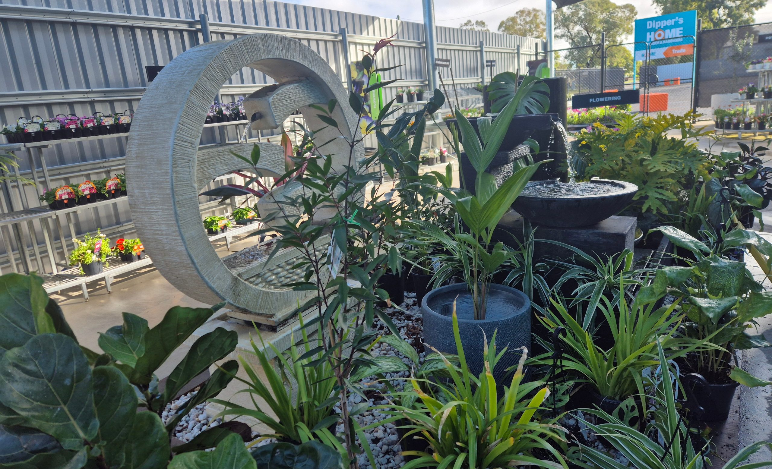 Image for Sasha at Dipper’s Garden Centre in Moree has springtime planting sorted