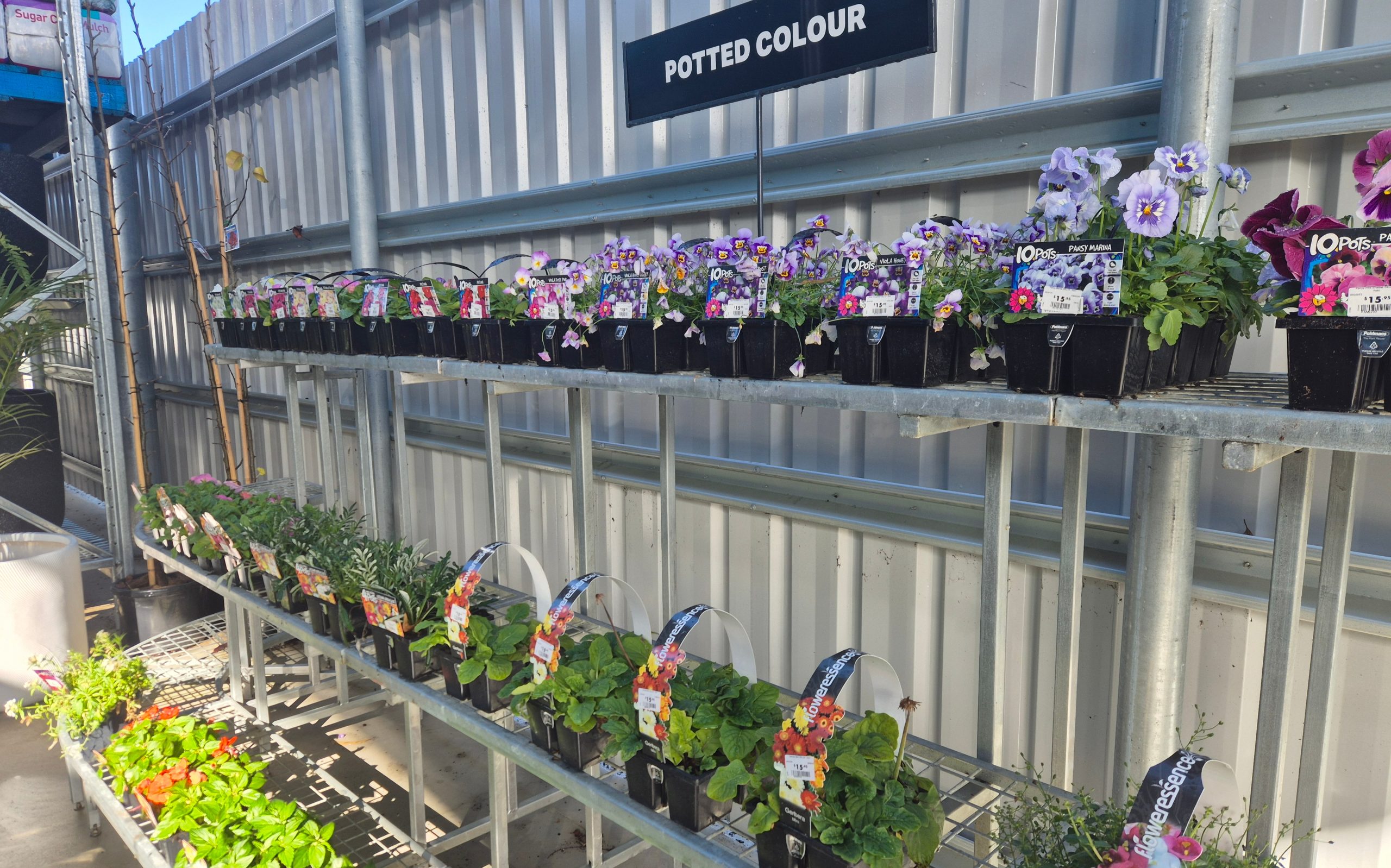 Image for Sasha at Dipper’s Garden Centre in Moree has springtime planting sorted