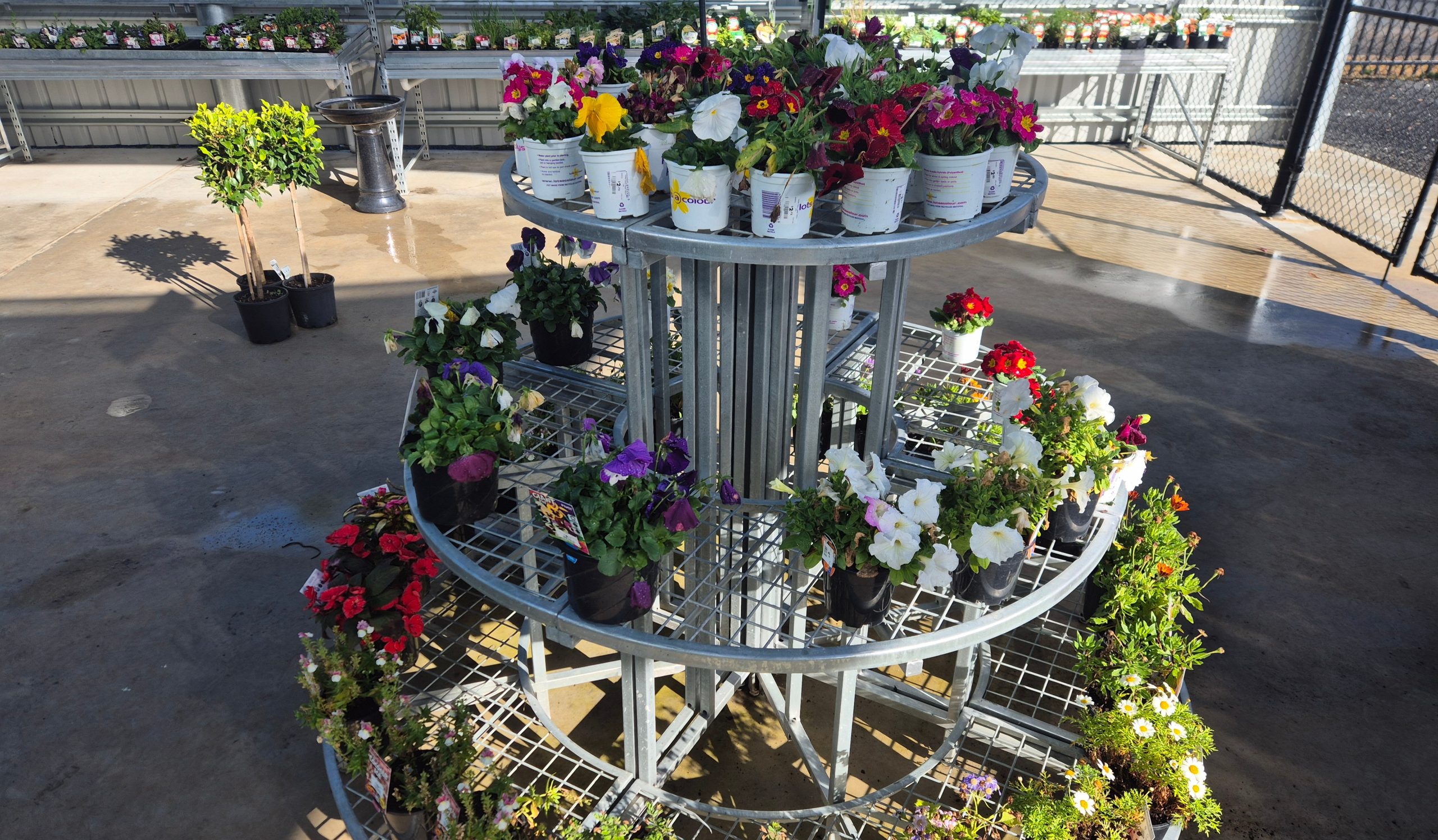 Image for Sasha at Dipper’s Garden Centre in Moree has springtime planting sorted