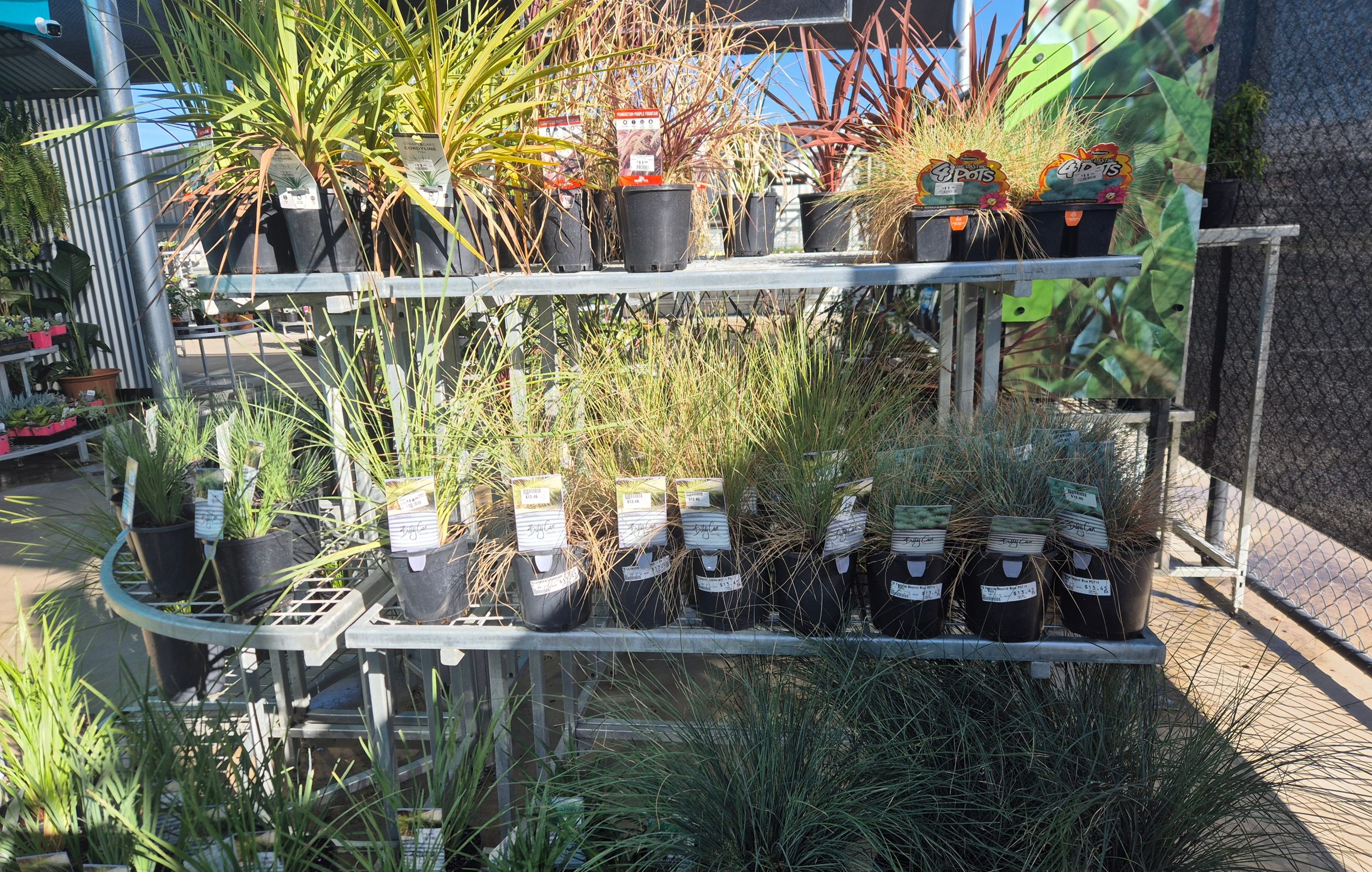 Image for Sasha at Dipper’s Garden Centre in Moree has springtime planting sorted