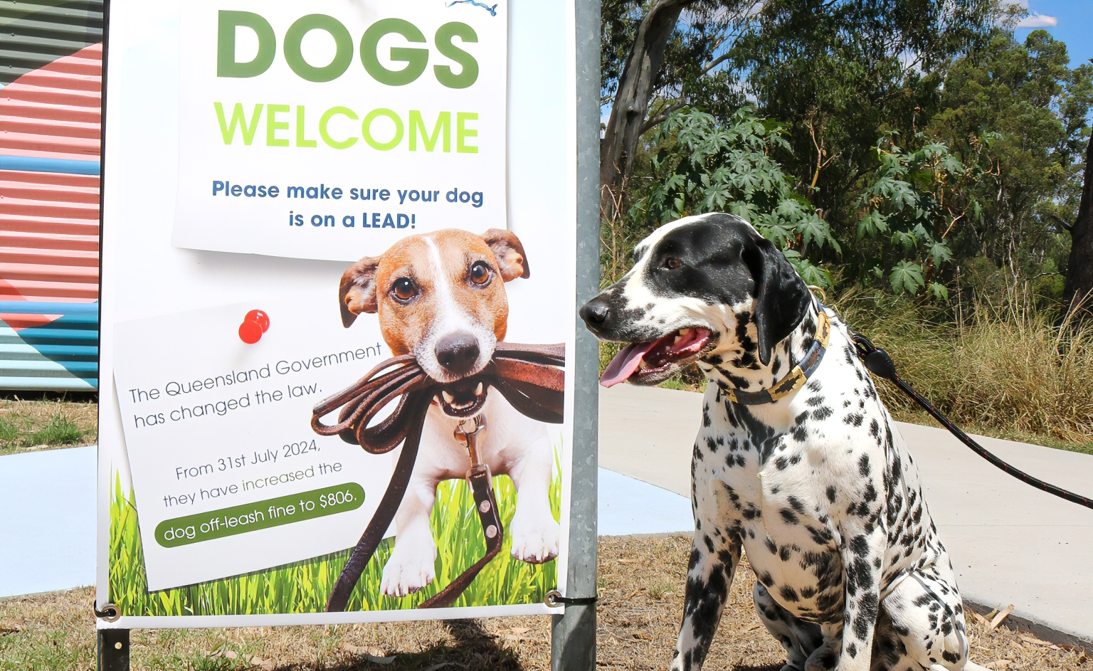 DogsWelcome
