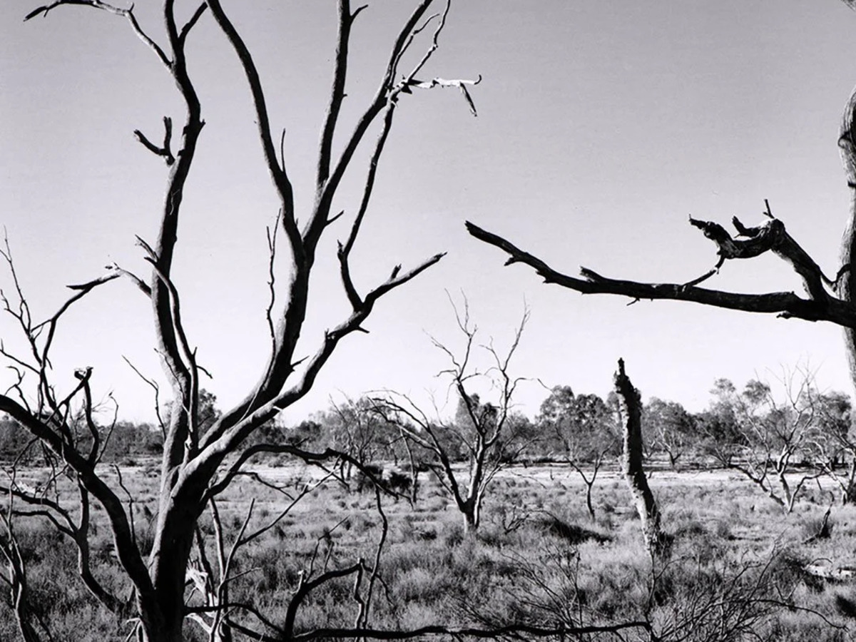 The Desert Line & Temporality