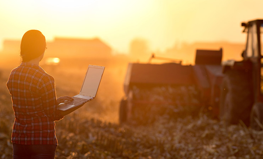 FarmBiz001 (1)