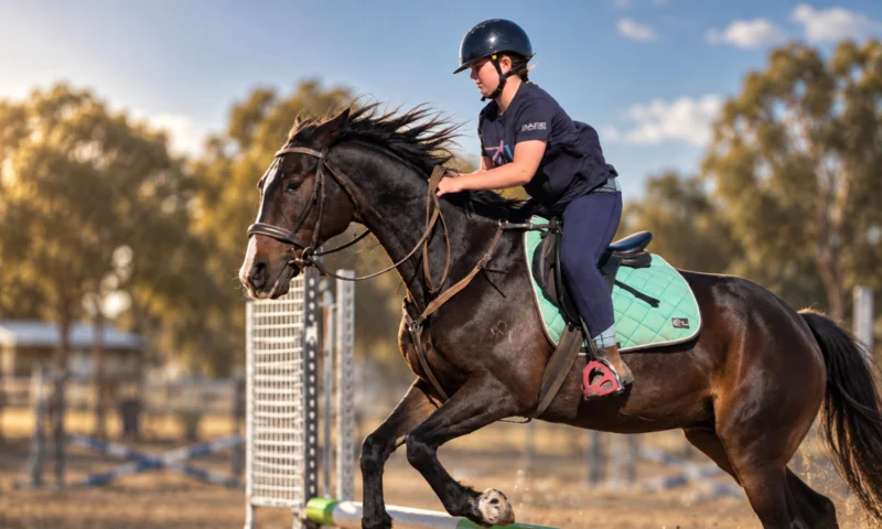 Moree Pony Club to host Zone 8 championship finale