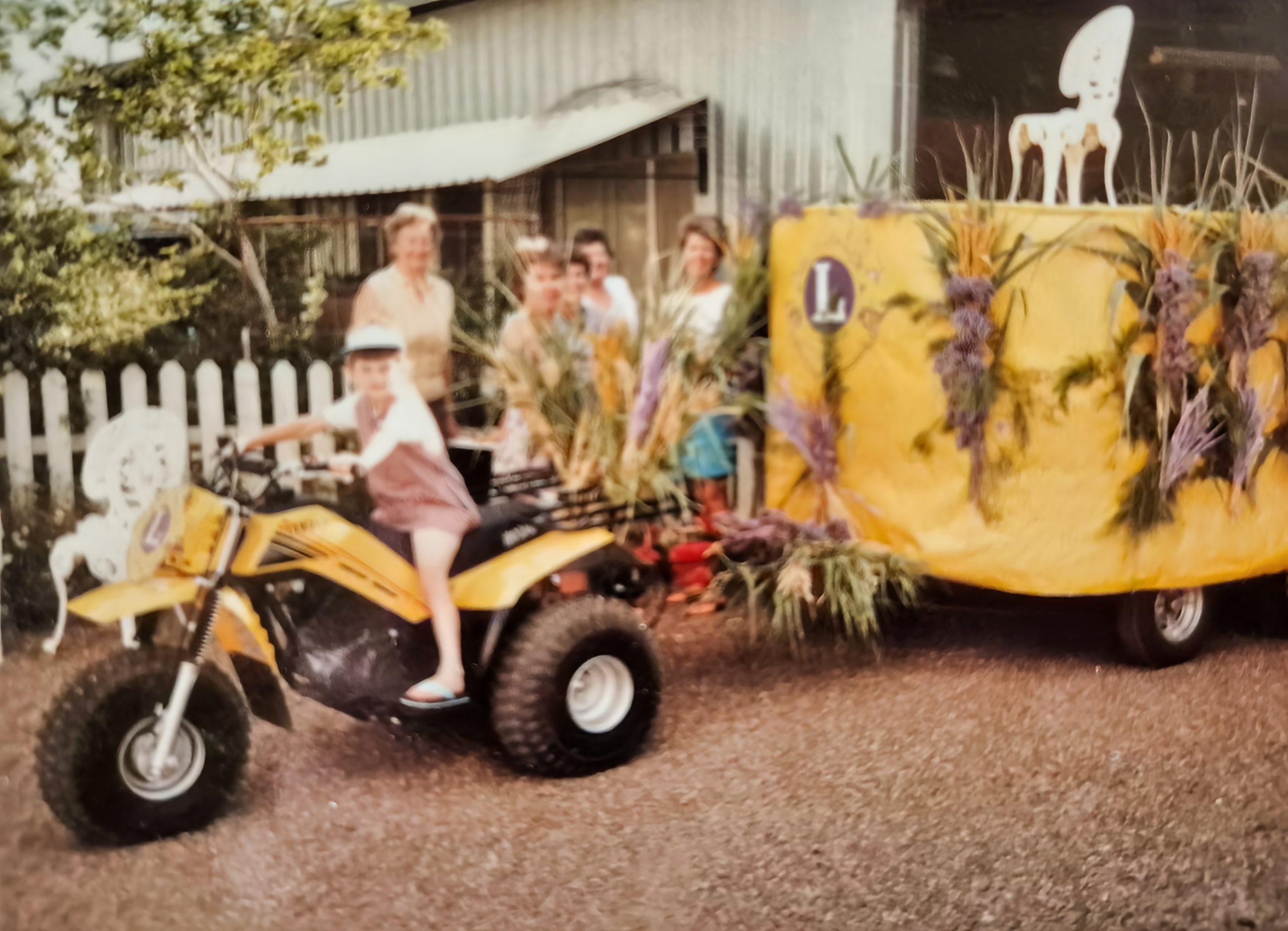 Image for Moree Lions ready to roar at 70th birthday bash