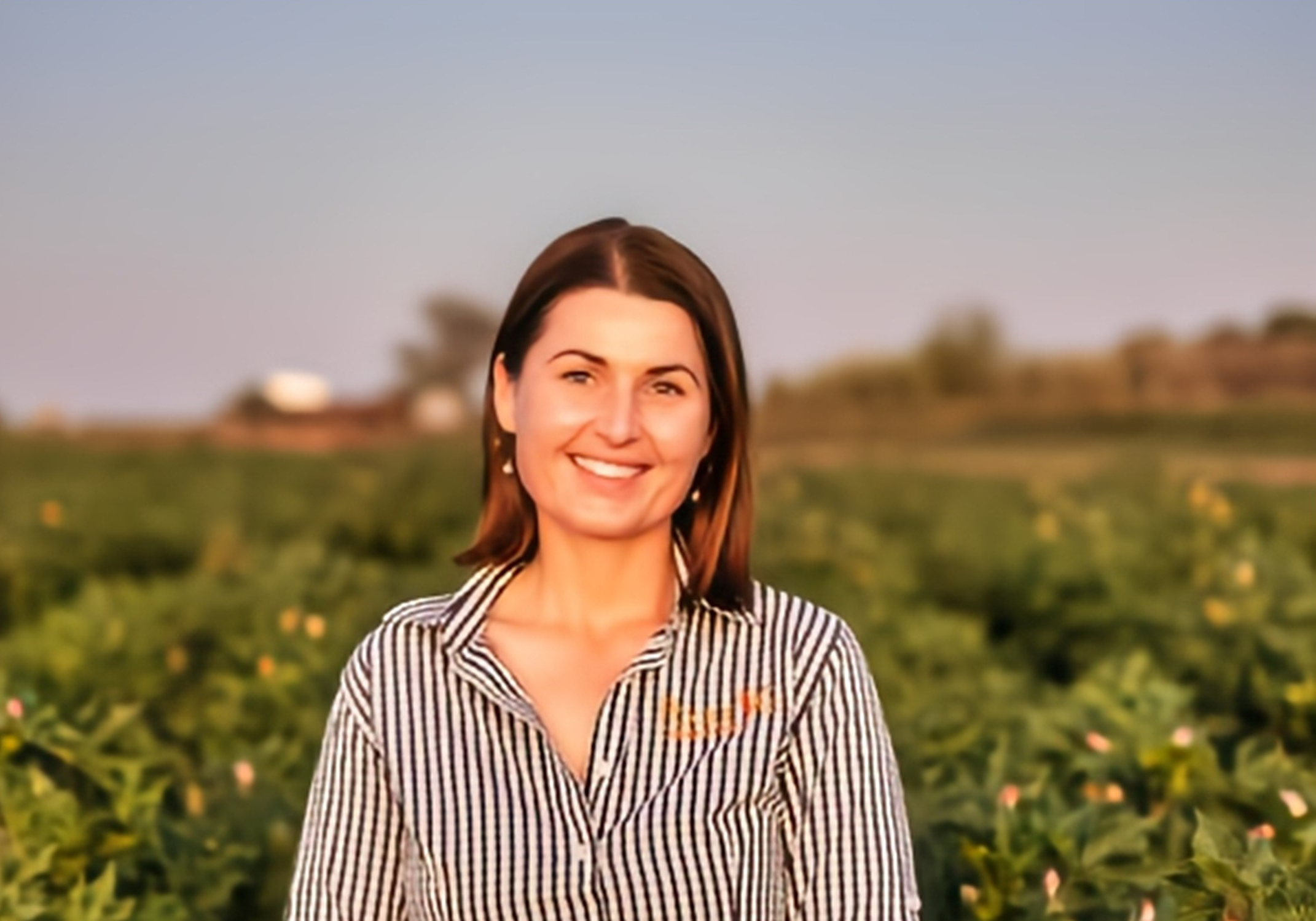 Lumber003