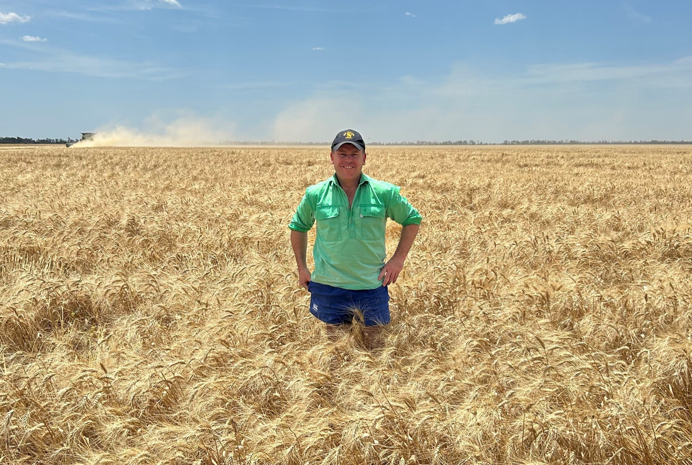 MoylanHarvest