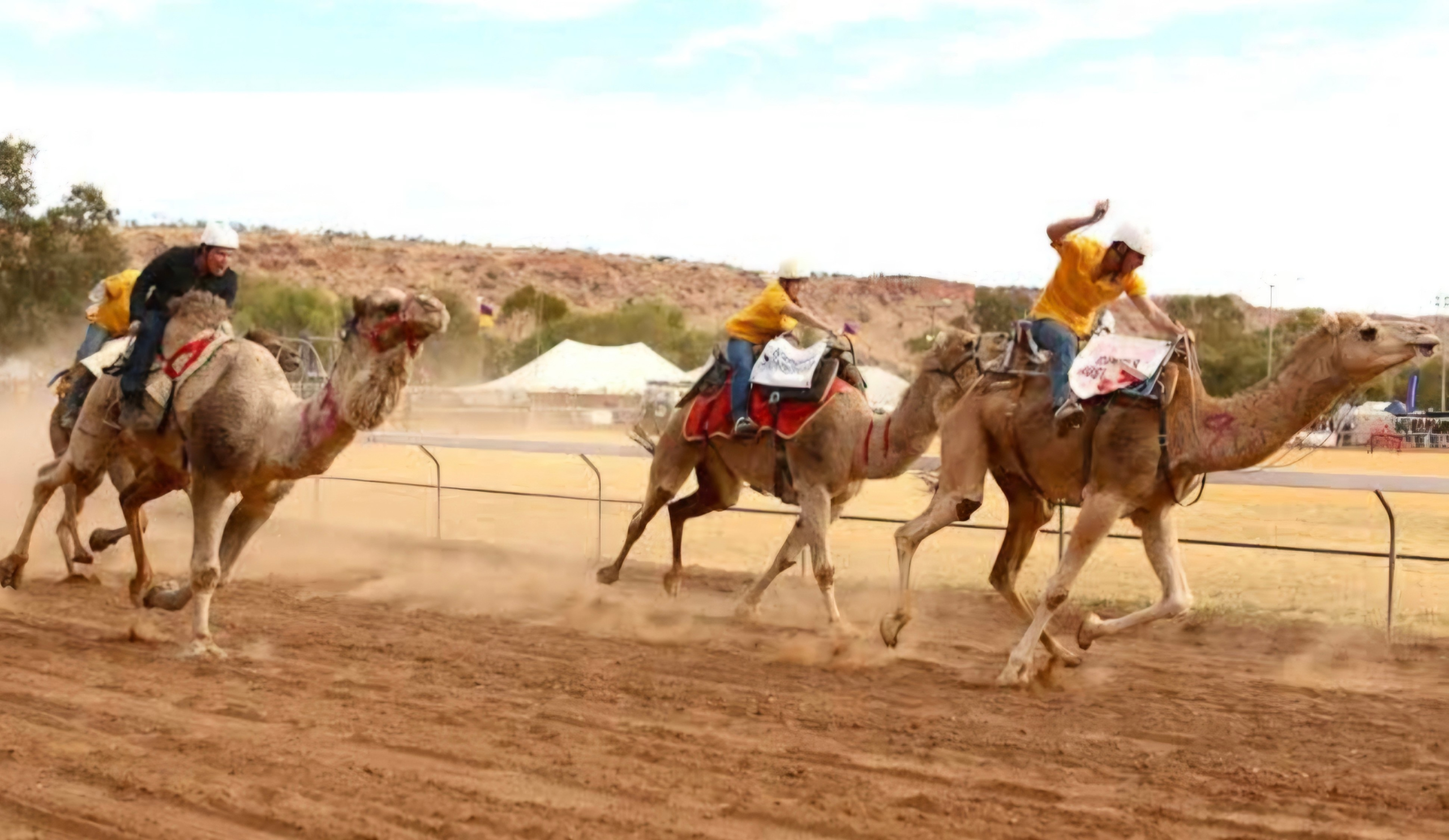 Image for Mungindi Show set to showcase celebrated border town