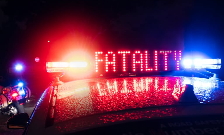 PoliceSignFatality