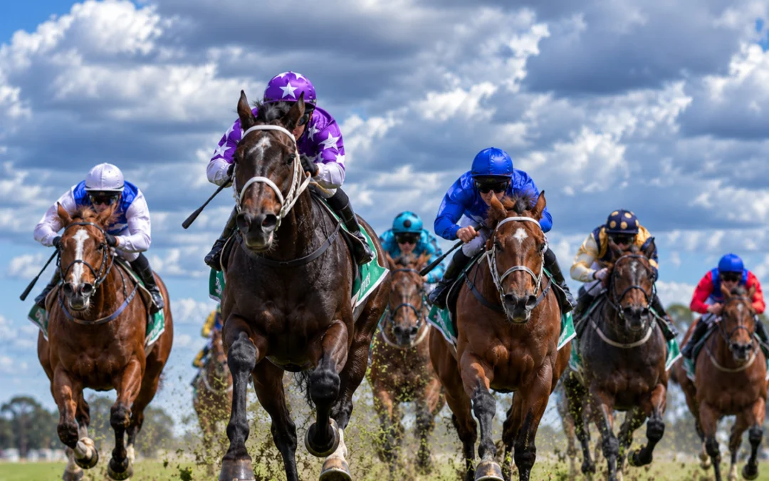Christmas Twilight Races