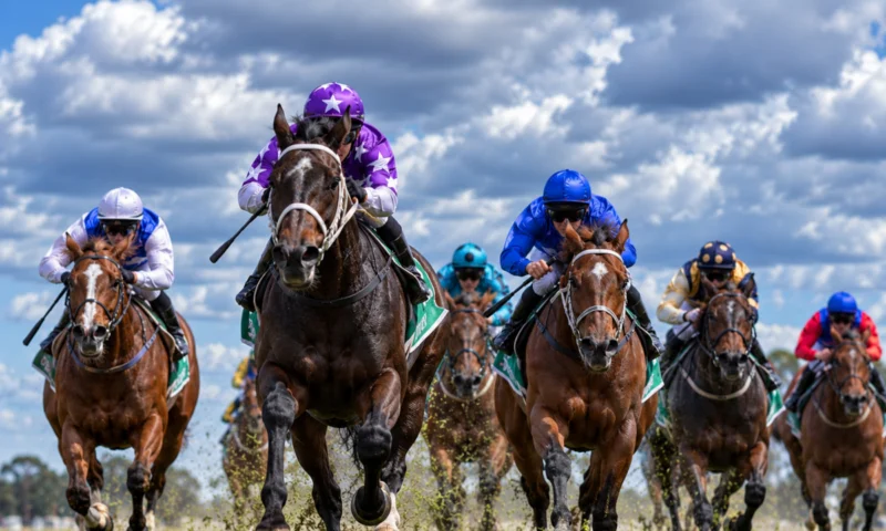 Christmas Twilight Races