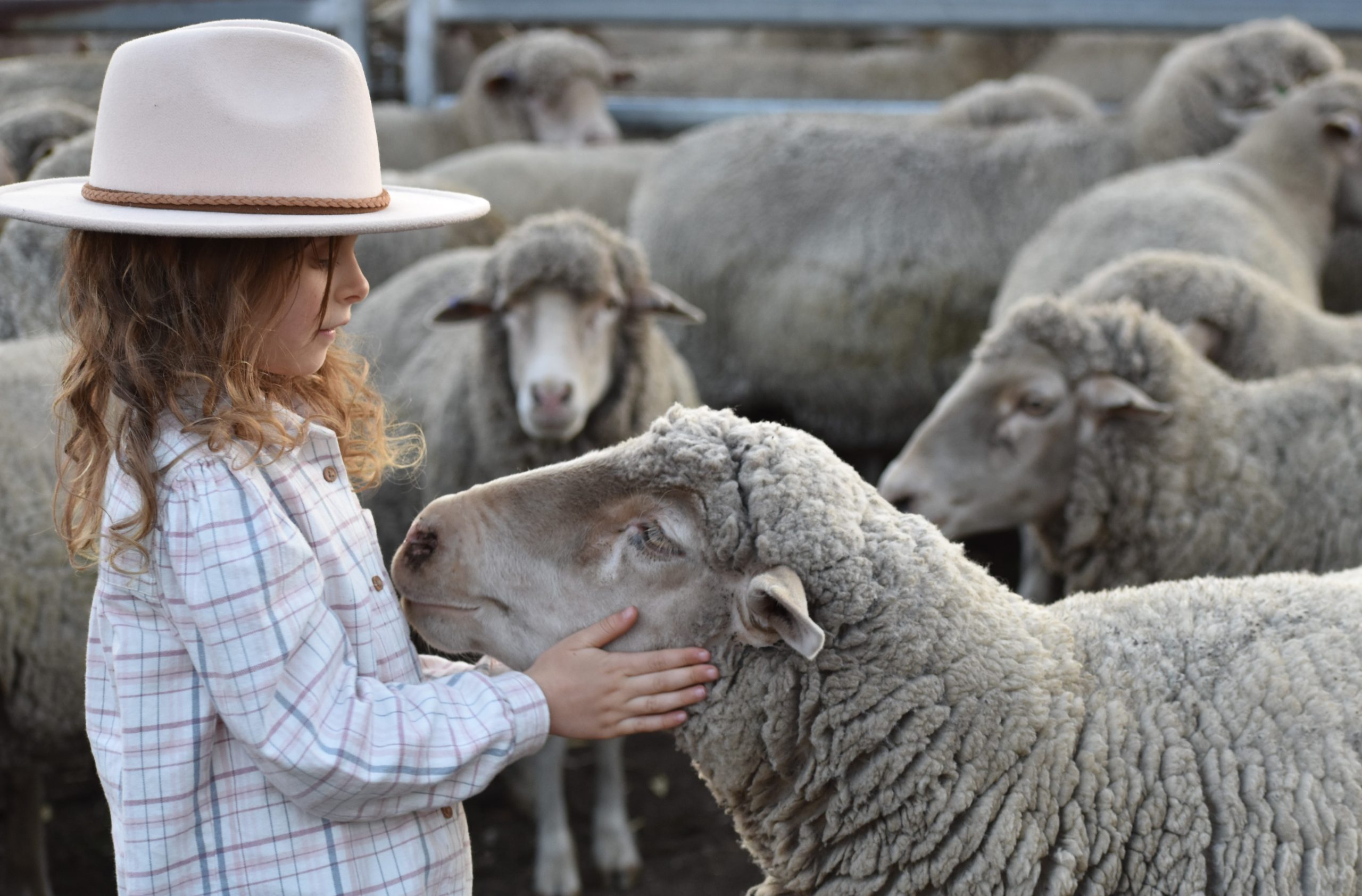 Image for Ag Day Australia photo comp captures the spirit of agriculture
