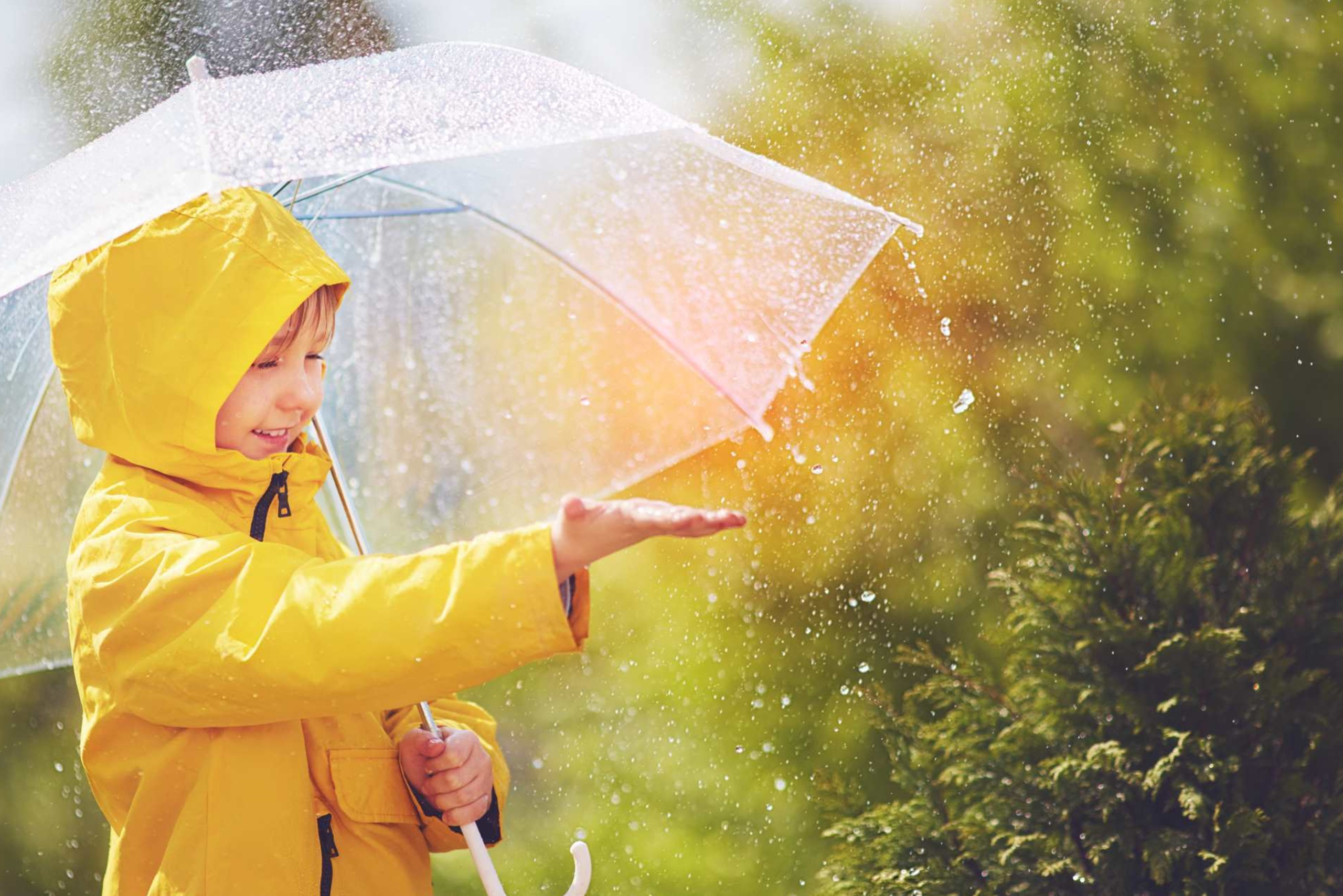 USE2026Rain001