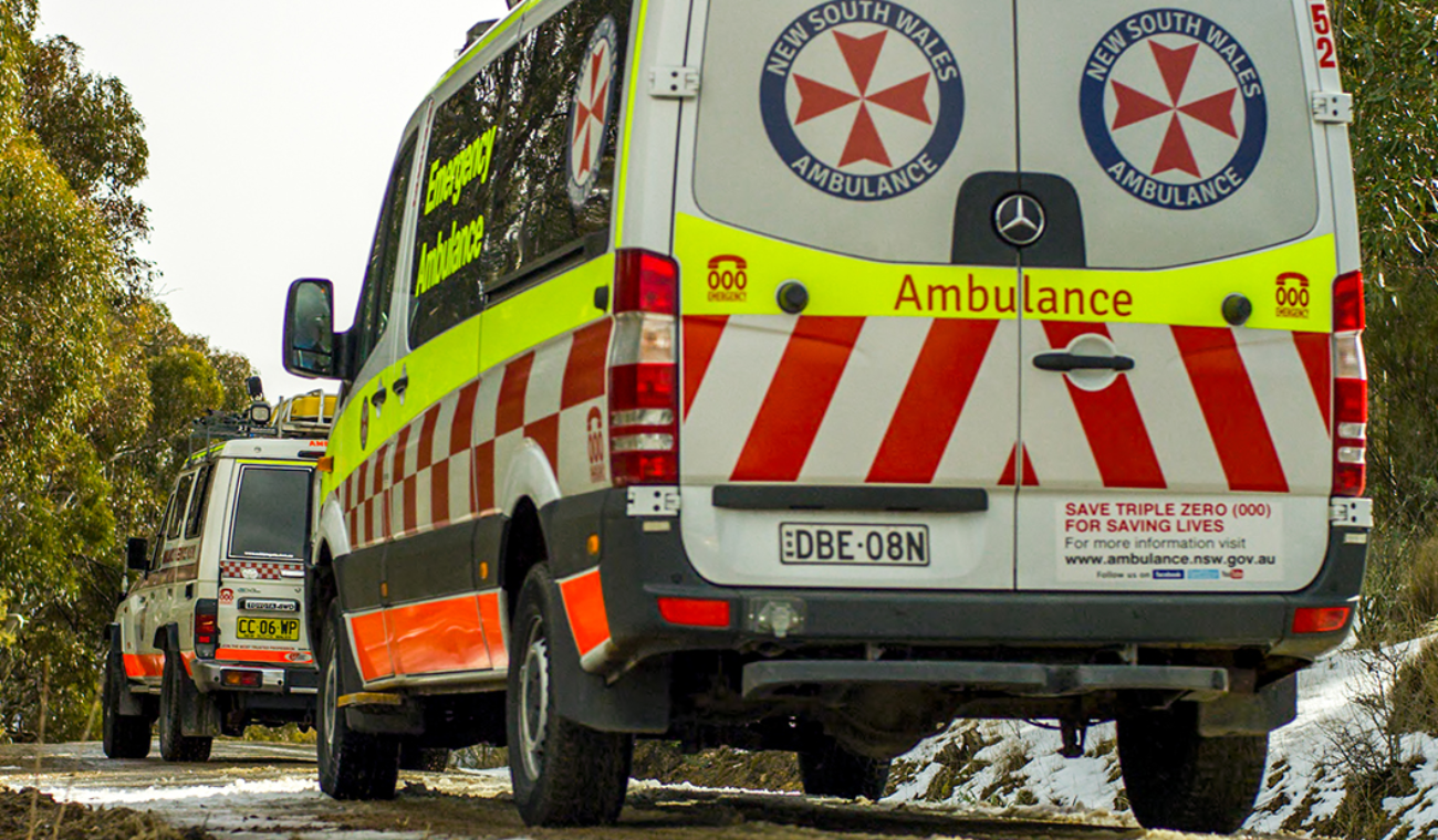 USEAmbo0033-1.png (1300×760)