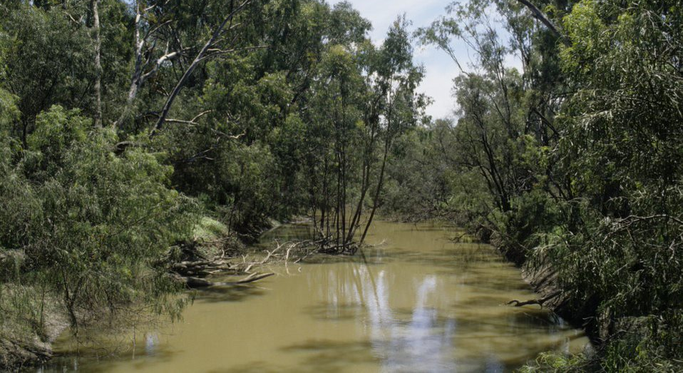 USEGwydir river CREDIT Sarah ChandlerNSWDPI
