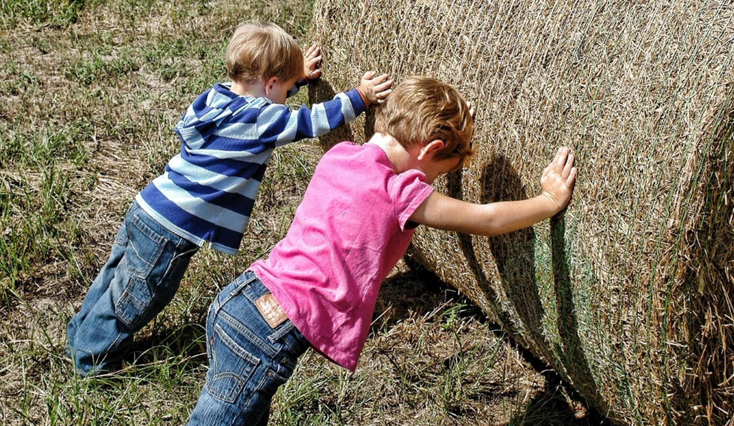 USEKidsFarms001