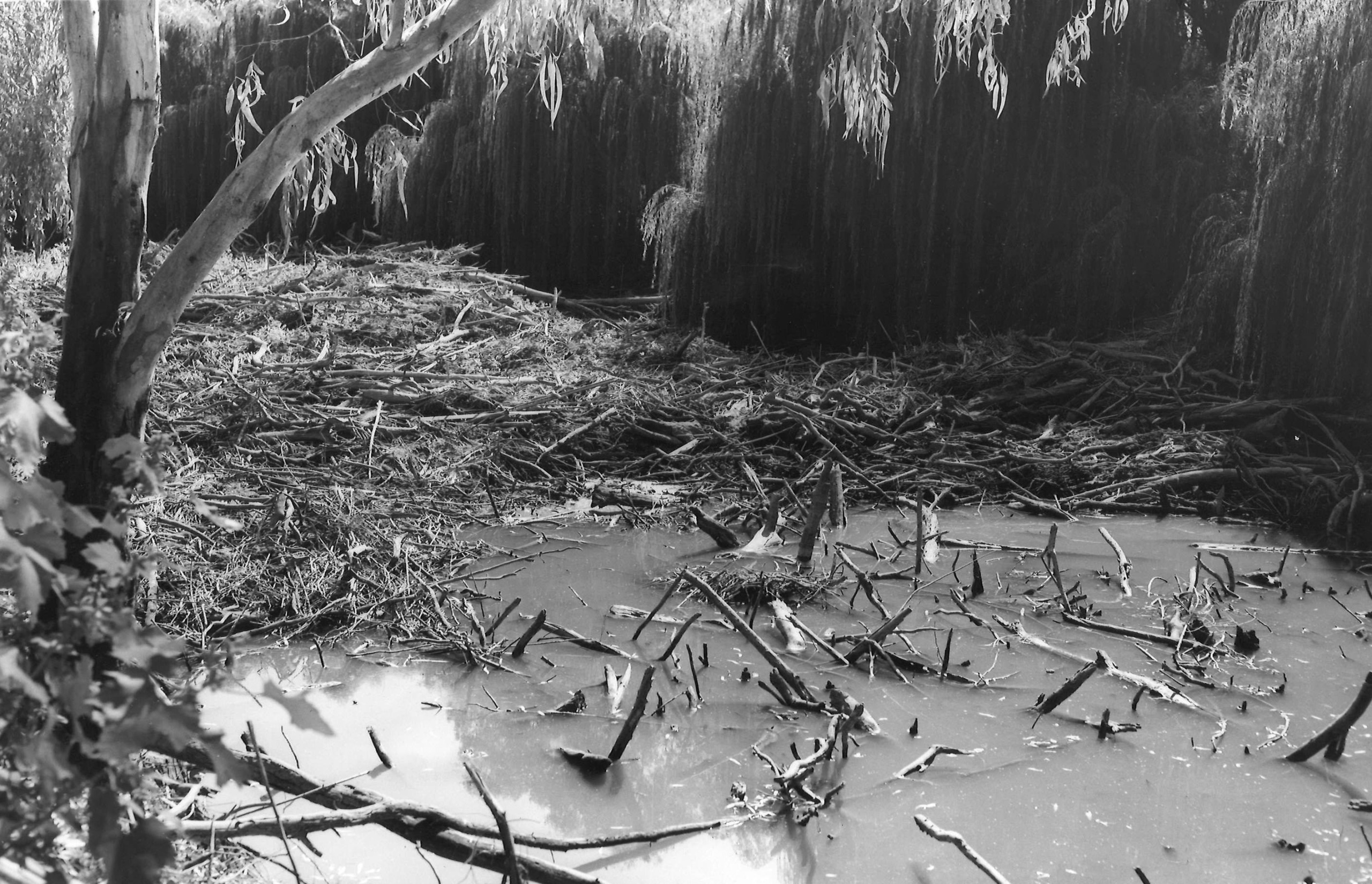 Image for Moree Plains Museum open day to launch 2025 History Week and new Water Room