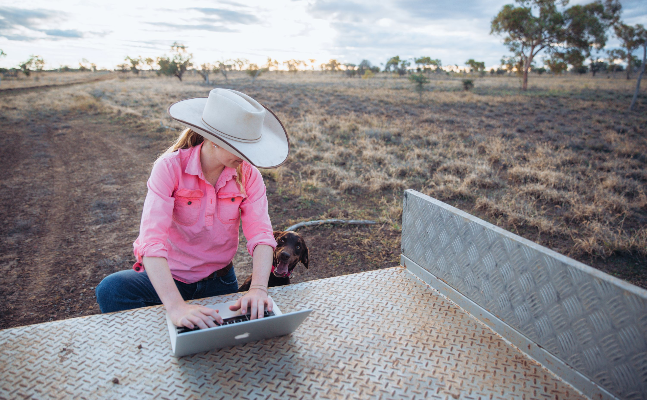 USENSW Farmers article_image
