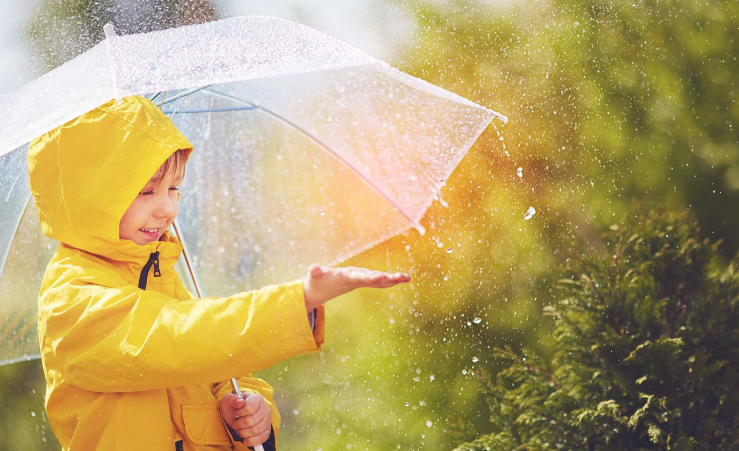 USESpringRain001