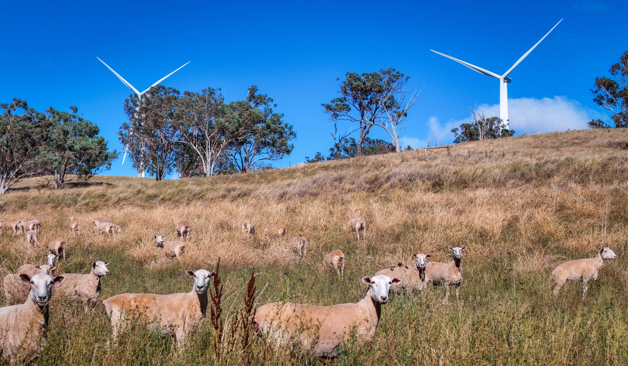 USEWindFarm001