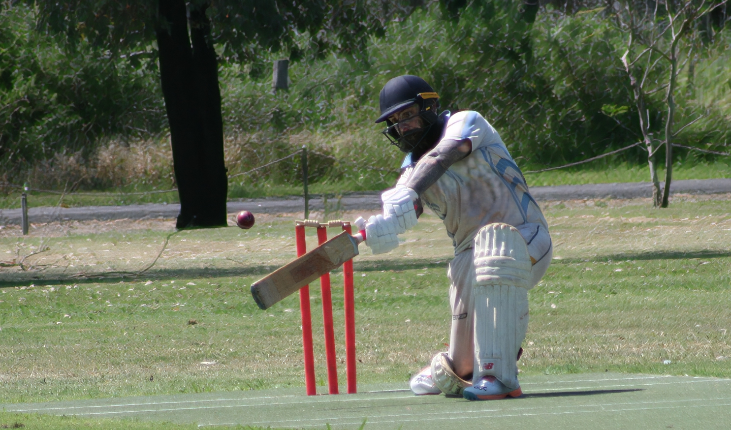 Image for Moree Thunder and Pally Bulls share Rowdo’s 10s top billing