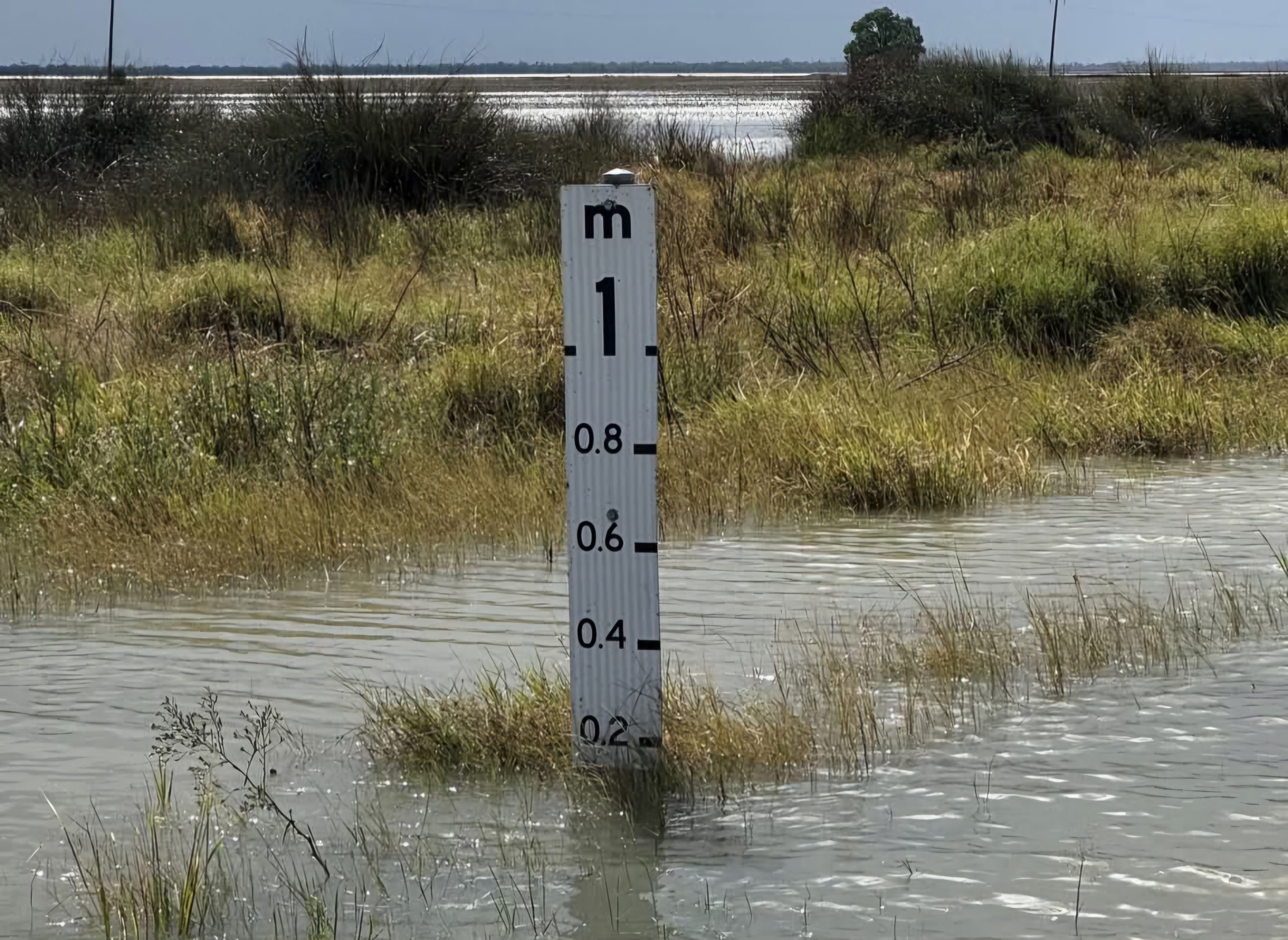 WalgettFlood