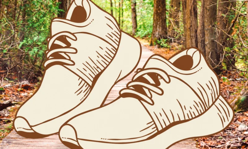 Men's Walking Group