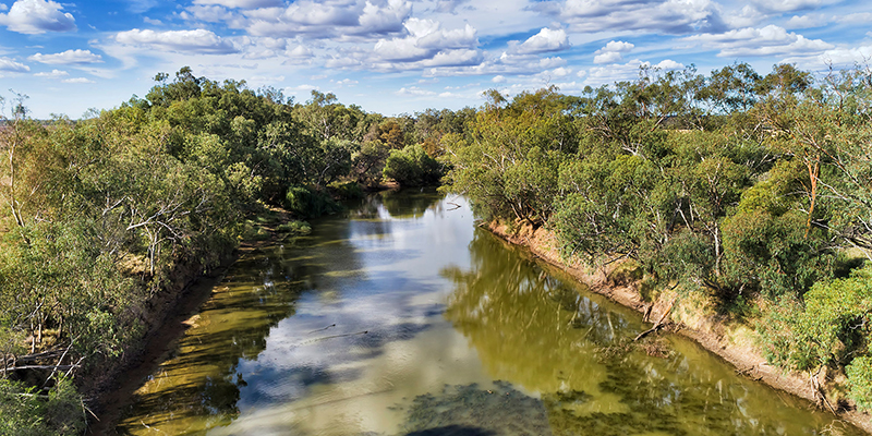 Small,Lazy,Fresh,Water,Gwydir,River,In,Narrabri,Shire,Around