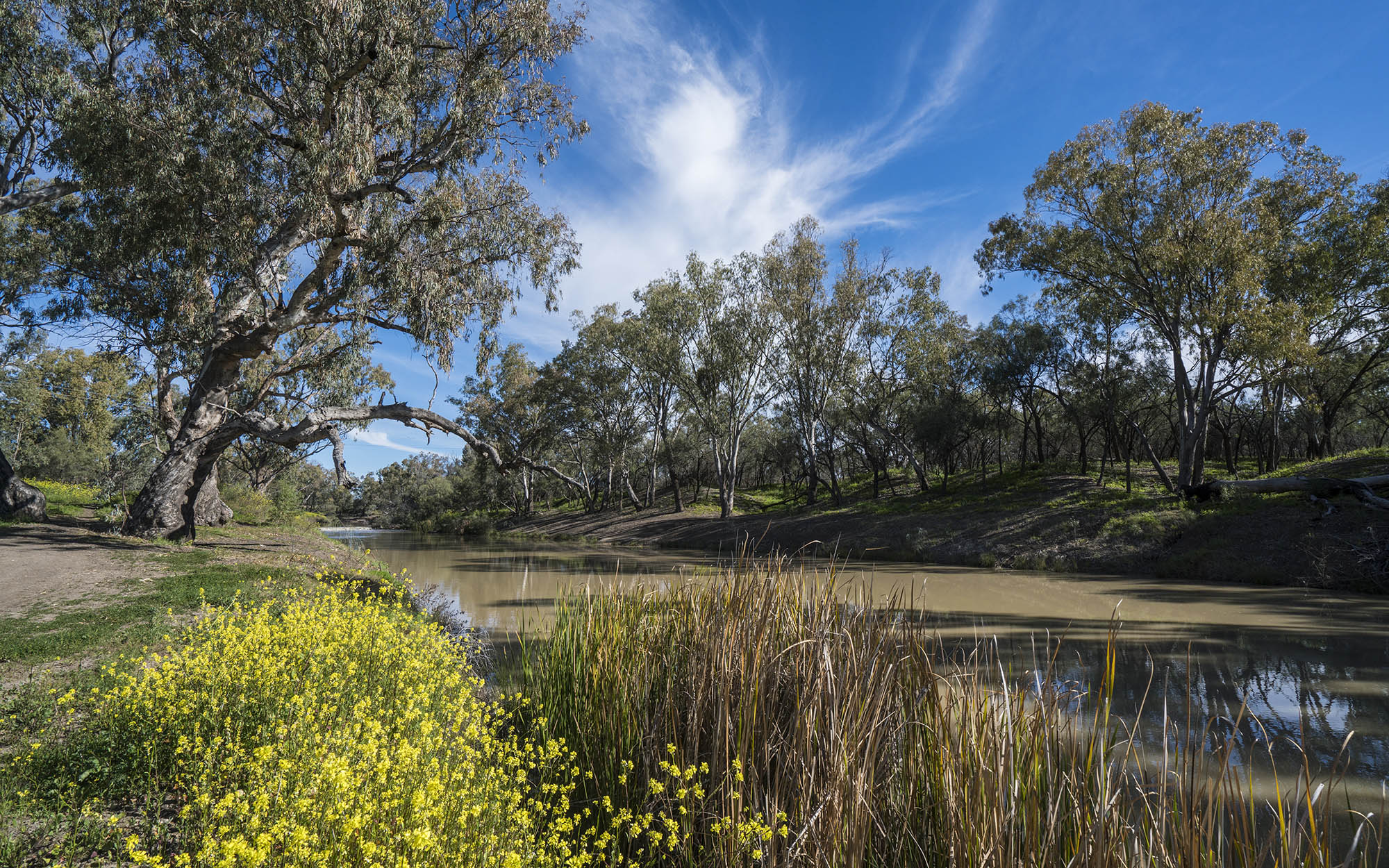 Country Landscapes, Walgett