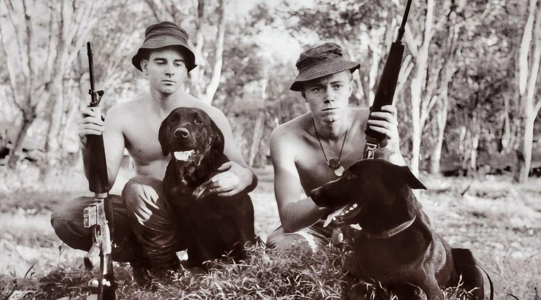 two handlers and dogs